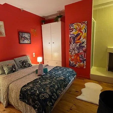 Cosy Eglantine- T3 - Hyper Centre & Spacieux Avec Parking Sous Terrain דירה *