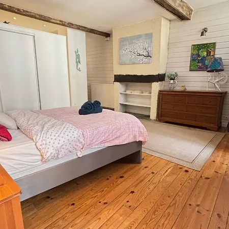 Cosy Eglantine- T3 - Hyper Centre & Spacieux Avec Parking Sous Terrain *